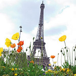 Paris breaks