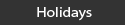 directline holidays