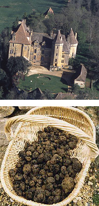 things to do in bergerac