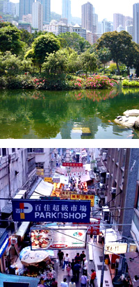 things to do in hong kong