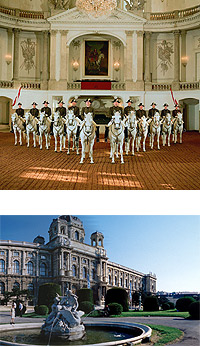 things to do in vienna